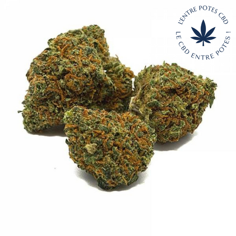 Grappe de fruit CBD - Small Buds